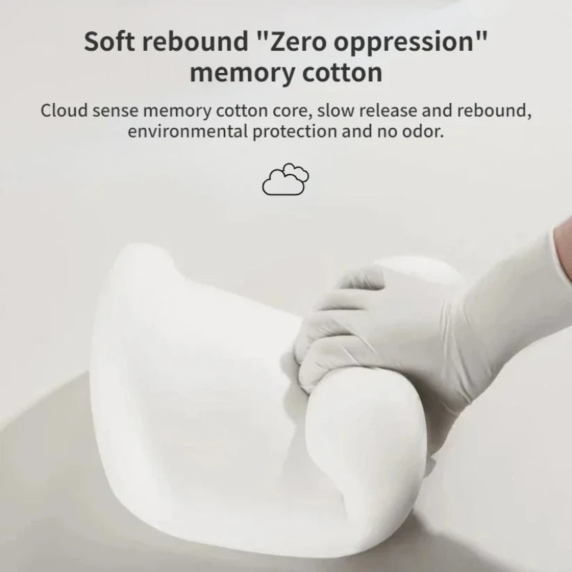 Memory Foam Neck Pillow Protection